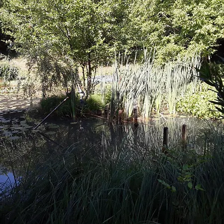 Le De La Grenouille Verte Chalet *